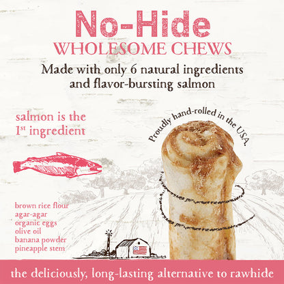 Earth Animal No Hide Salmon Stix Dog Treats, 10 Pack