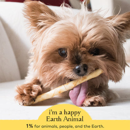 Earth Animal No Hide Salmon Stix Dog Treats, 10 Pack
