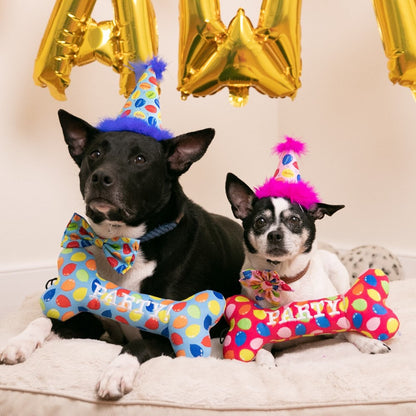Party Time Bone Dog Toy