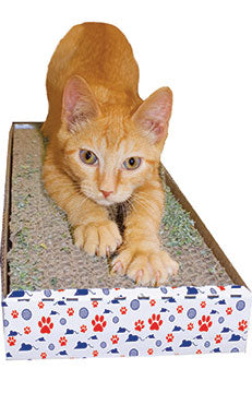 Imperial Cat Cat Things Scratch 'n Pad