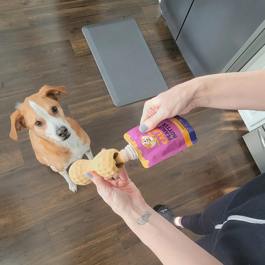 Poochie Butter  Calming Peanut Butter Squeeze Pack 4oz (No CBD)