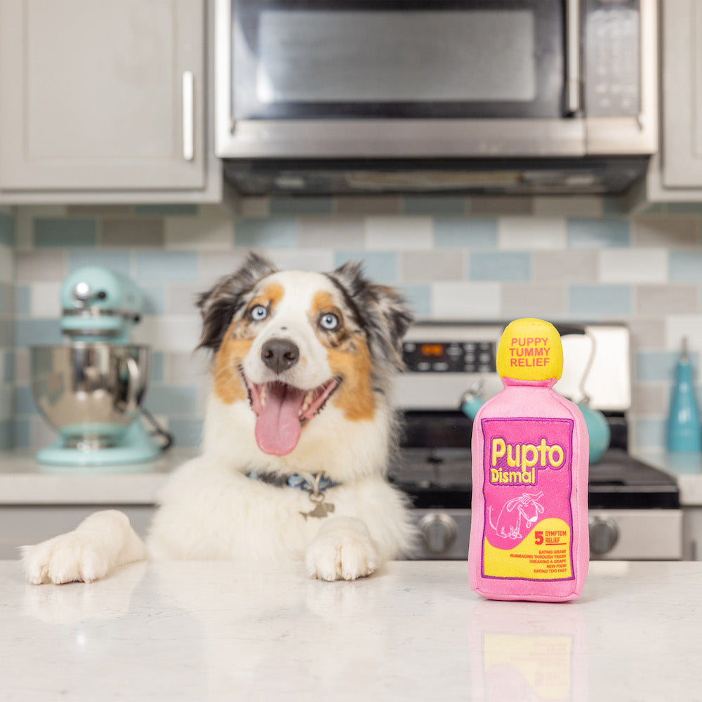 Pupto Dismal Dog Toy (Double Sided)