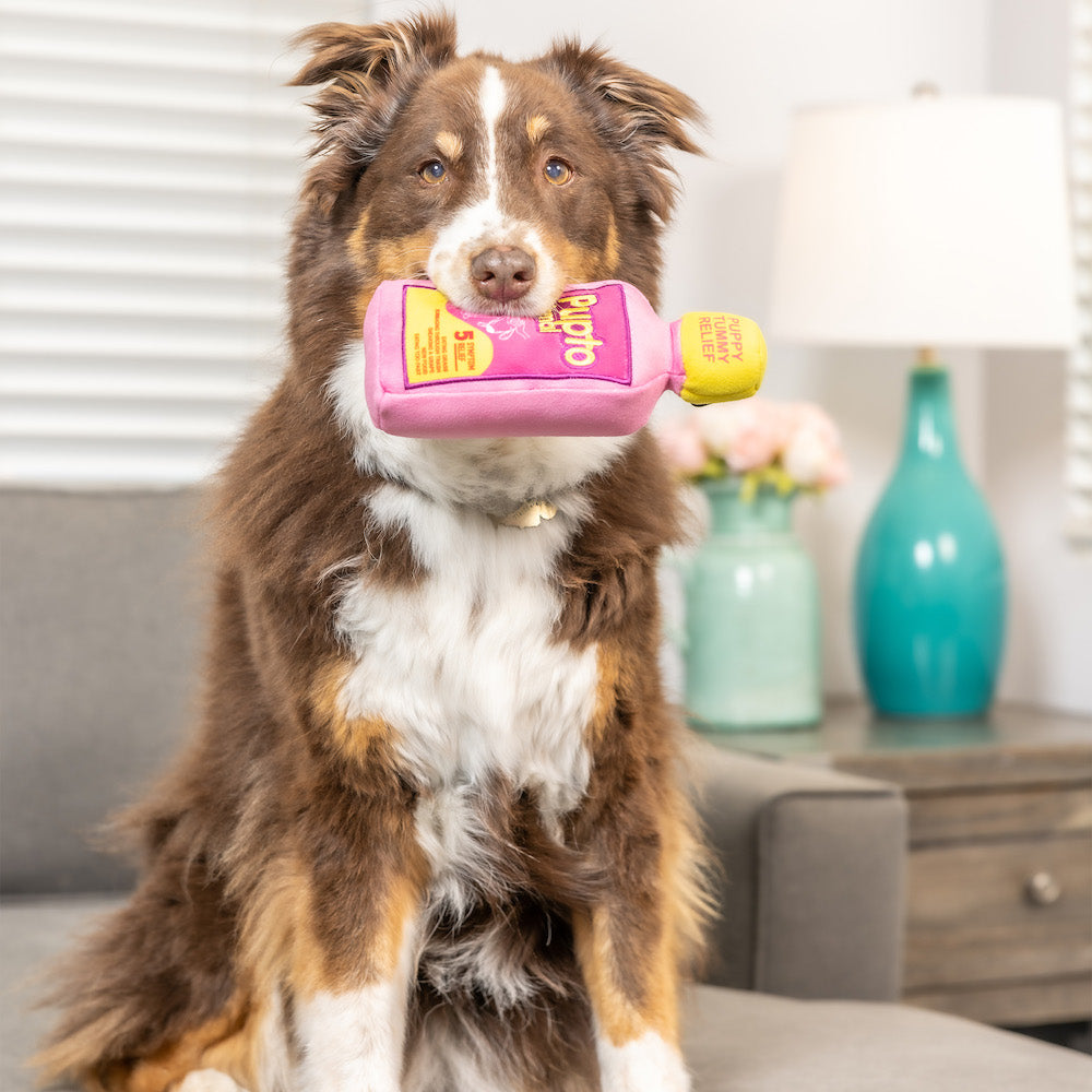 Pupto Dismal Dog Toy (Double Sided)