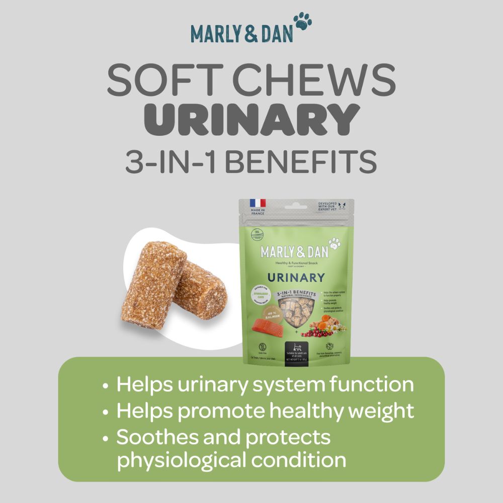 Marly & Dan Urinary Health Recipe - Salmon Treats for Cat