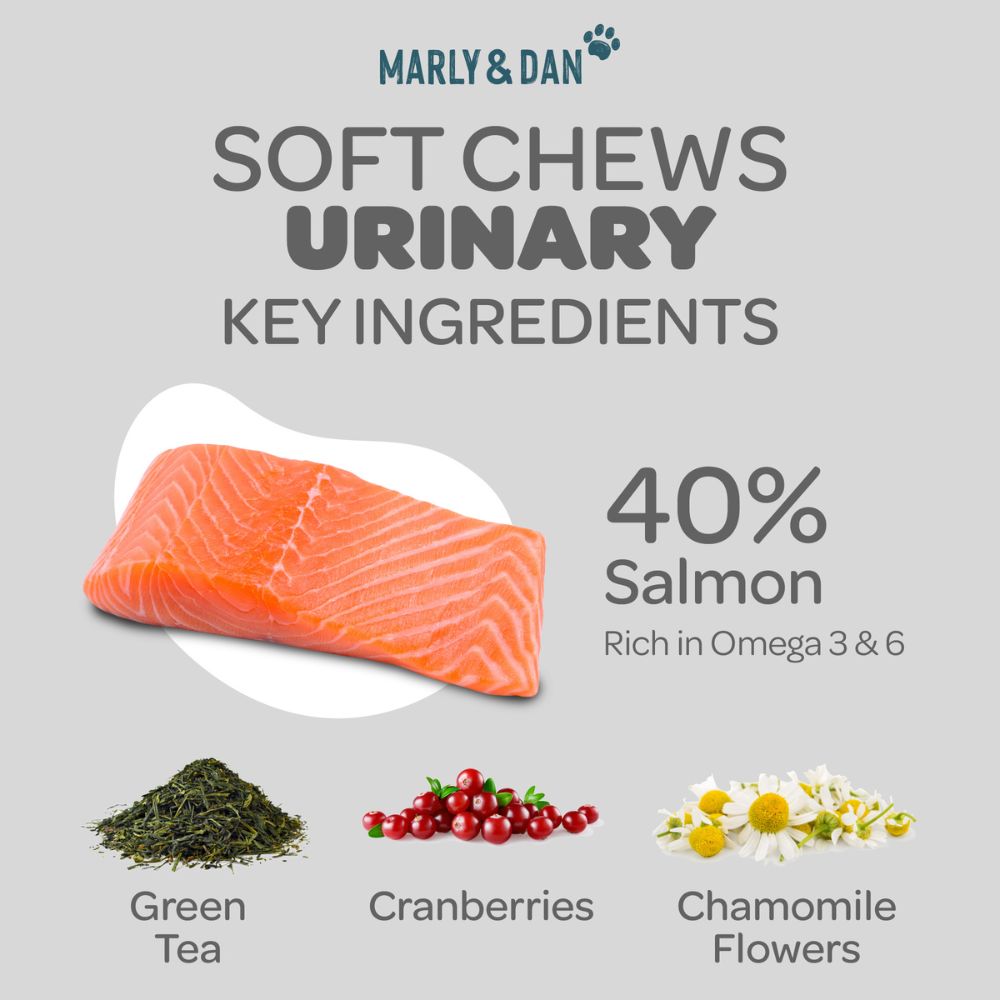 Marly & Dan Urinary Health Recipe - Salmon Treats for Cat