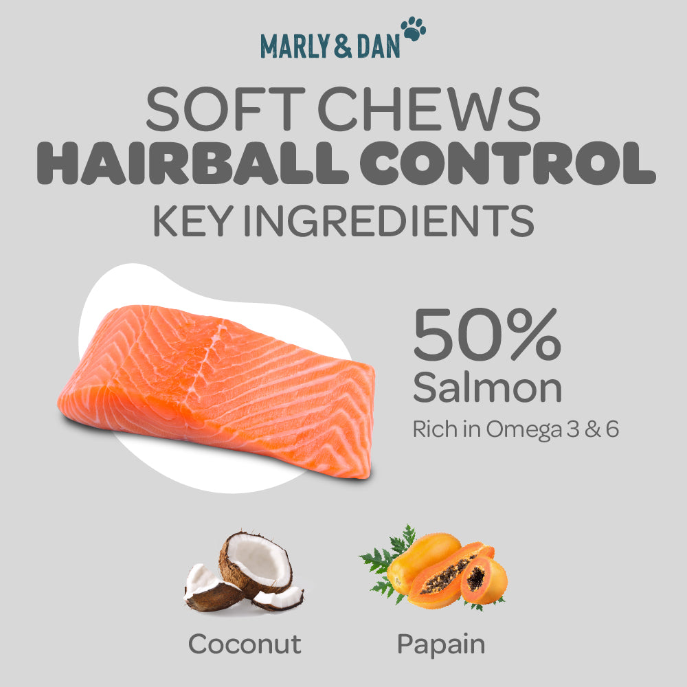 Marly & Dan Hairball Relief Recipe - Salmon Treats for Cats