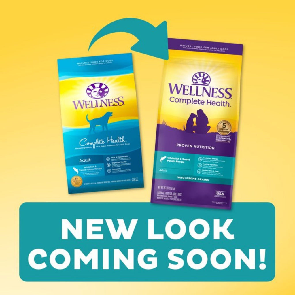 Wellness Dog Whitefish Sweet Potato 5Lb Adult Complete Health