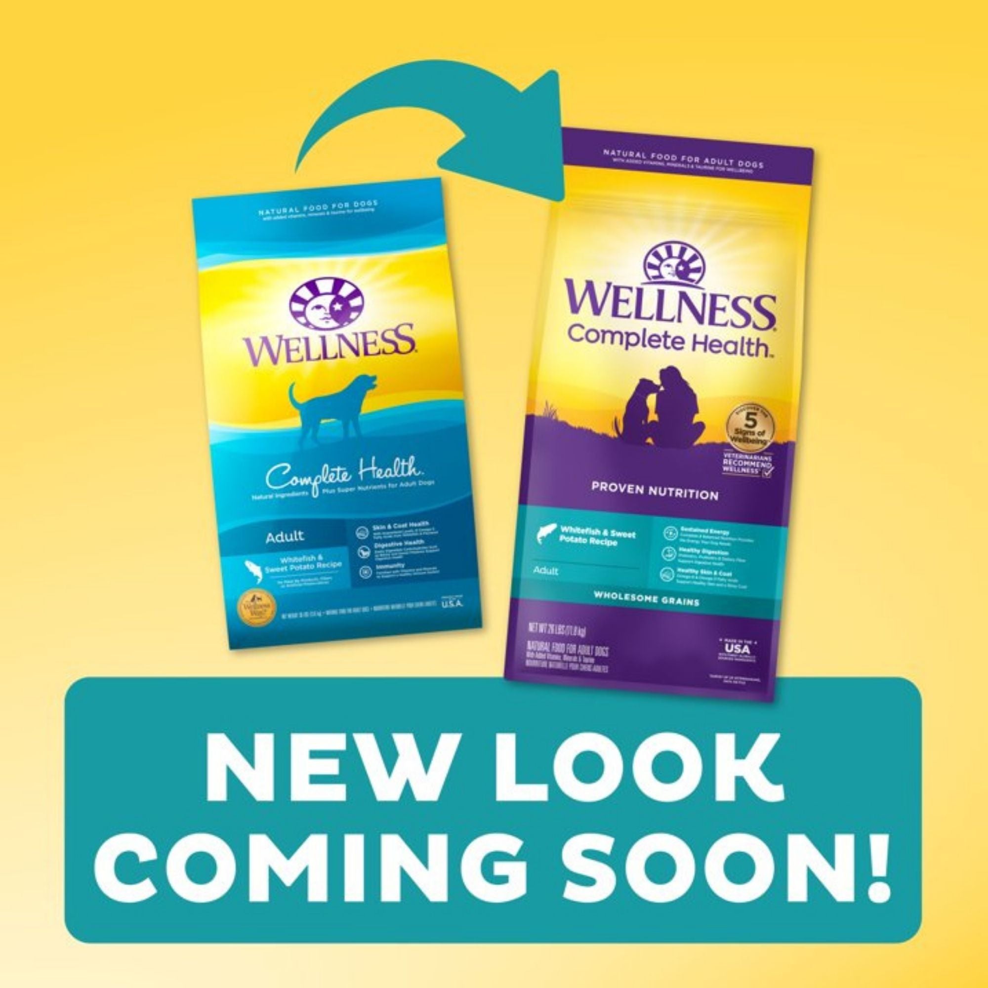 Wellness Dog Whitefish Sweet Potato 5Lb Adult Complete Health