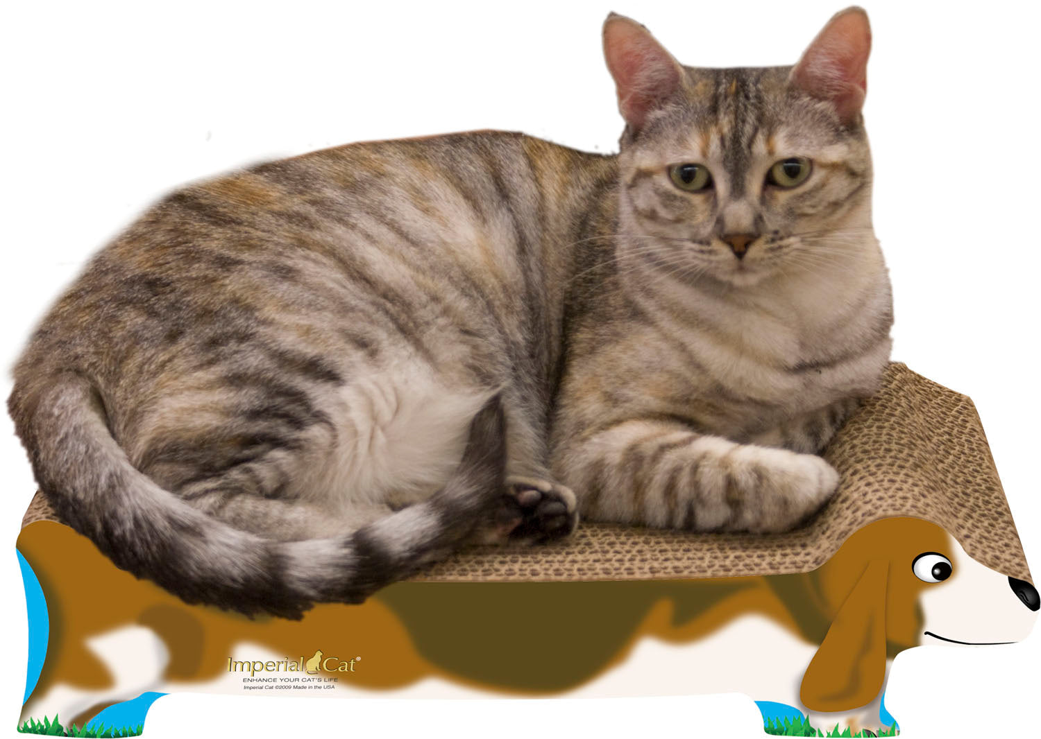 cratch 'n Shapes Dog Cat Scratcher