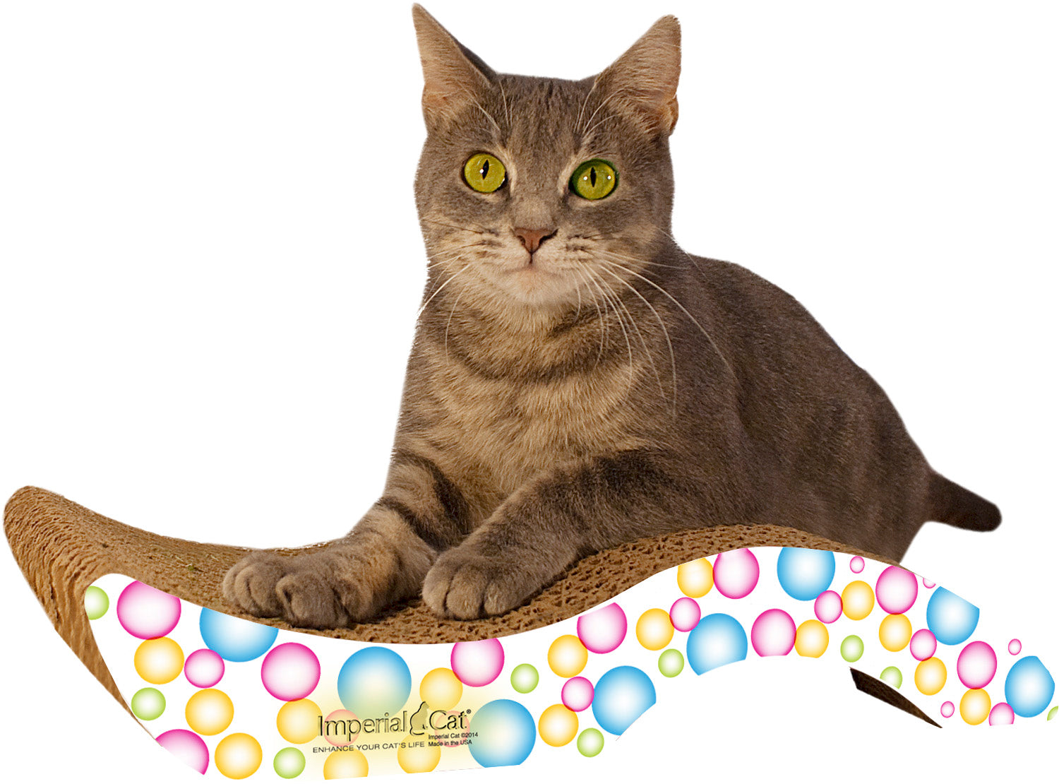 Scratch 'n Shapes Small Purrfect Stretch Scratcher