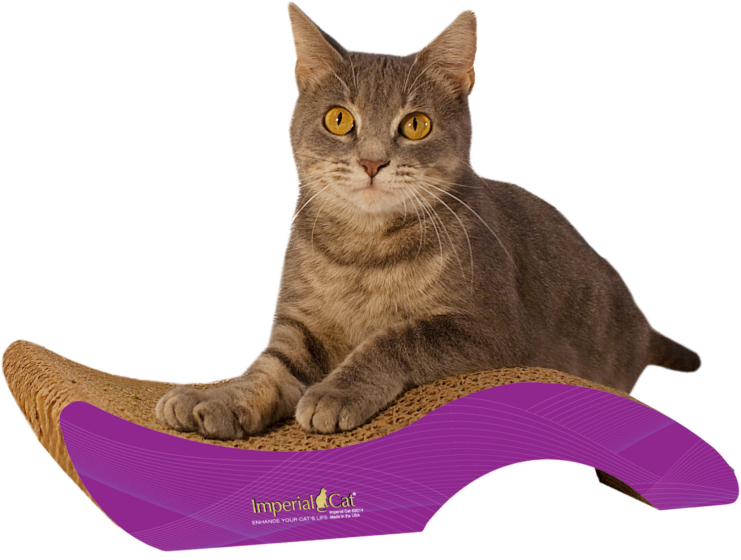 Scratch 'n Shapes Small Purrfect Stretch Scratcher