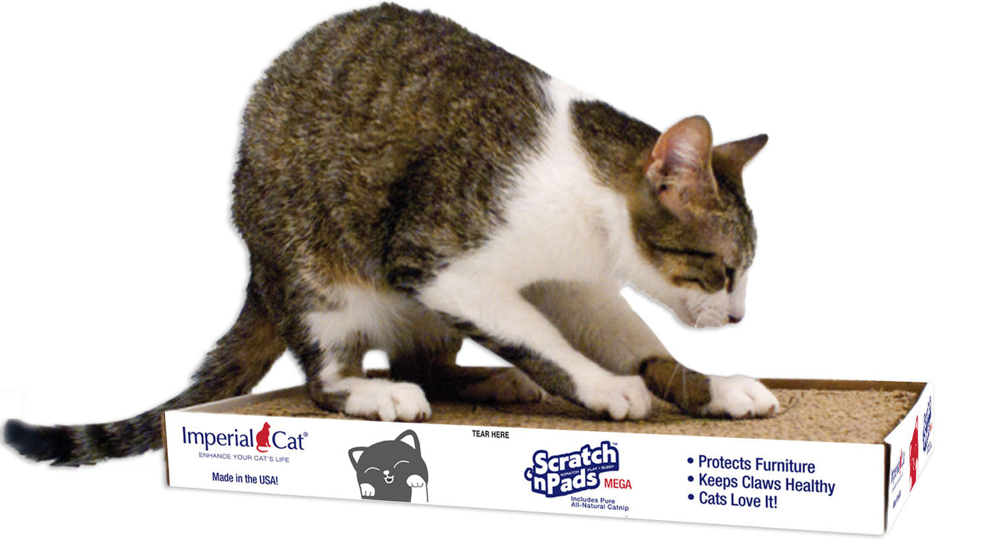 Mega Scratch 'n Pad
