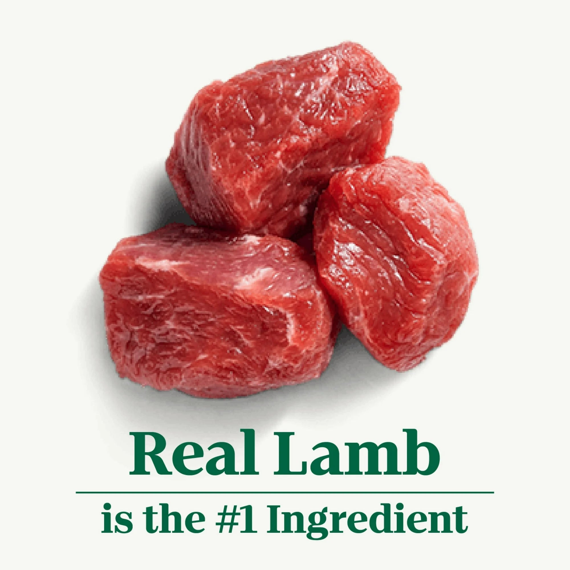 Nutro Natural Choice Lamb and Brown Rice Recipe Large Breed Adult Dry Dog Food, 30 lbs.