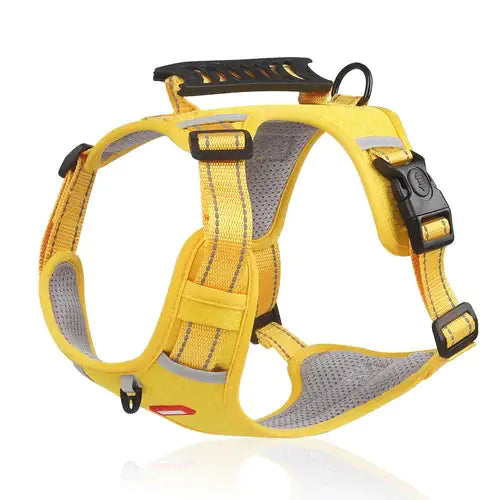 Dog Walking Harness