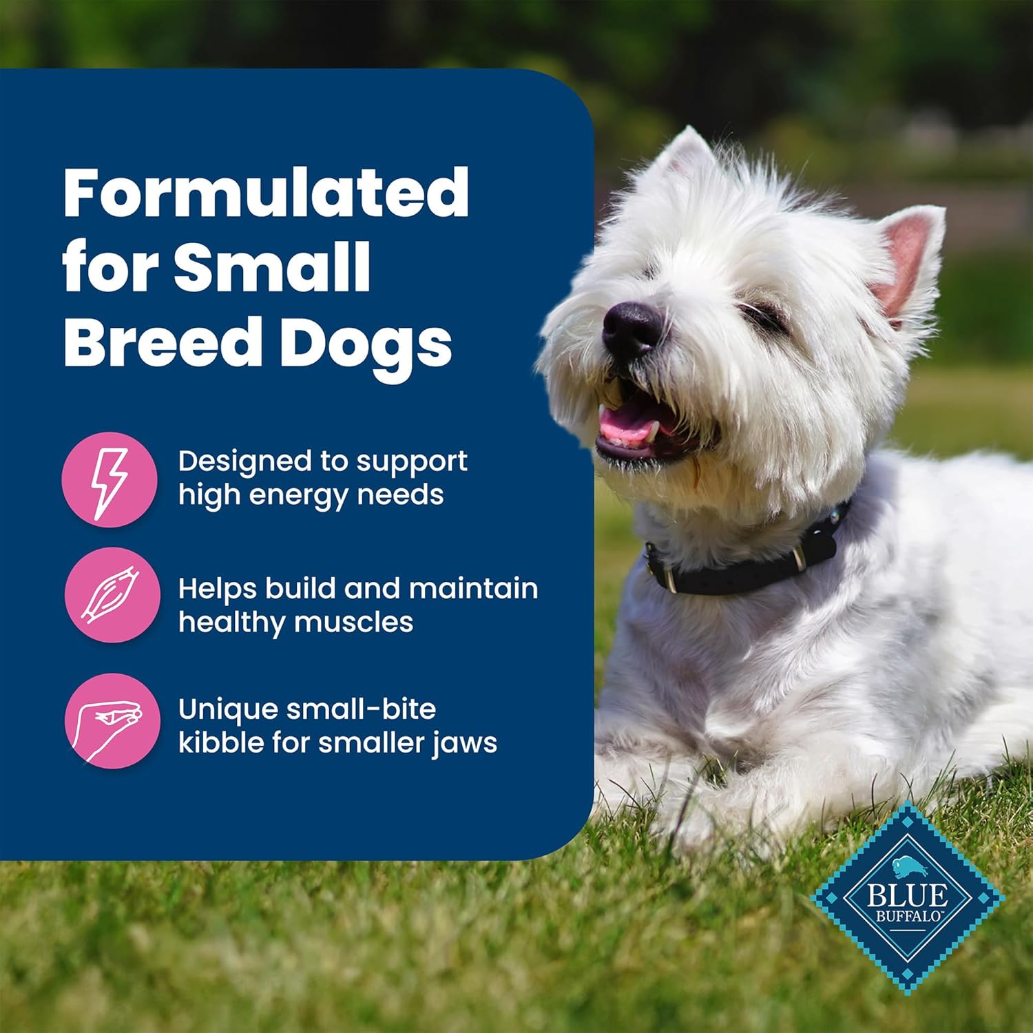 Blue Buffalo Life Protection Formula Adult Small Breed Dry Dog Food, Supports High Energy Needs, Made with Natural Ingredients, Chicken & Brown Rice Recipe