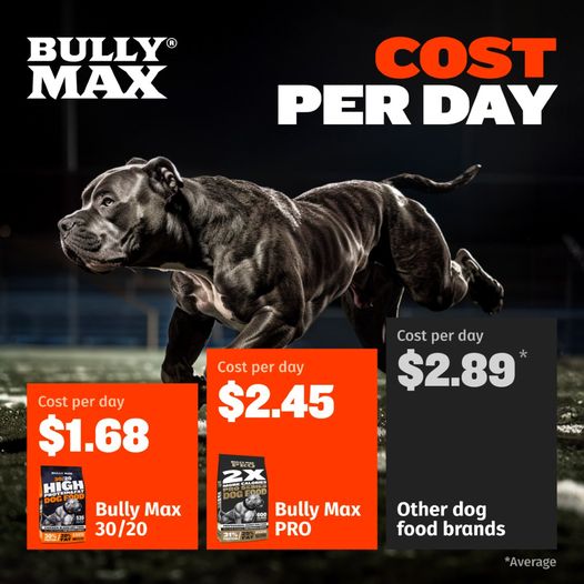 Bully Max 30/20 Adult High-Protein & Fat Chicken Dry Dog Food