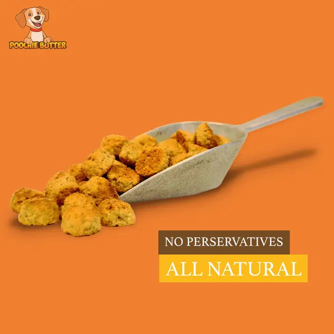 Poochie butter8oz Cheezy Soft Chewies