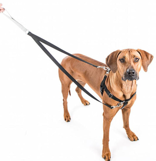 1" Patented Freedom No-Pull Harness Deluxe Training Package (35-200 lbs)
